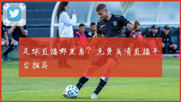足球直播哪里看？免费高清直播平台推荐